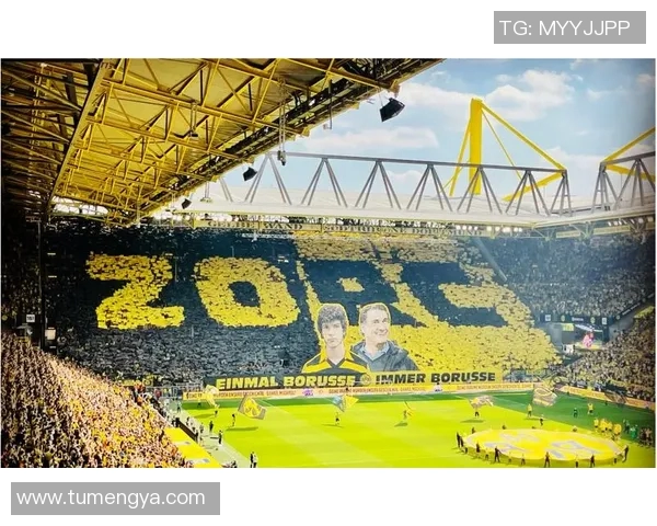 多特蒙德球迷骚乱引发欧冠禁赛三场及50万欧元罚款 多特蒙德球迷骚乱引发欧冠禁赛三场及50万欧元罚款