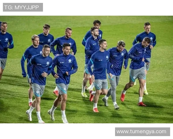 法国与瑞典两队实力对比分析及比赛前景展望