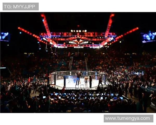 精彩UFC赛事直播在线观看全攻略让你不错过每一场激战