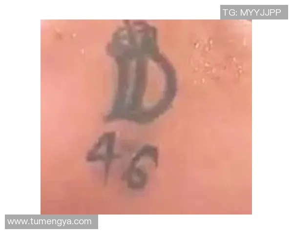 林丹纹身背后的故事与意义探秘，揭示运动员的精神与个性表达